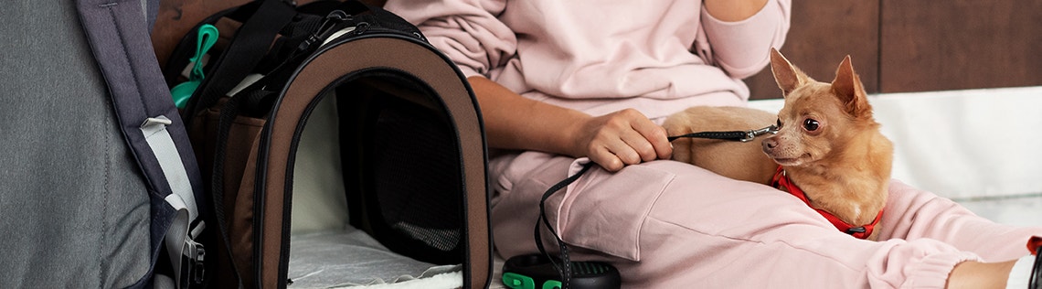 A woman sits on the floor of an airport with her chihuahua on her lap, while speaking on the phone. Next to her, she has luggage and an empty pet carrier.