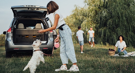 A girl feeds a small white Westie dog a treat, while her siblings play in the background and her mother watches on from a nearby picnic blanket.