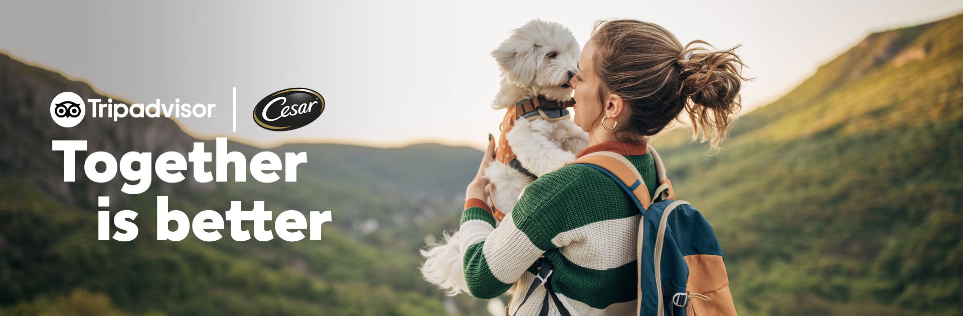 Tripadvisor Hero Image