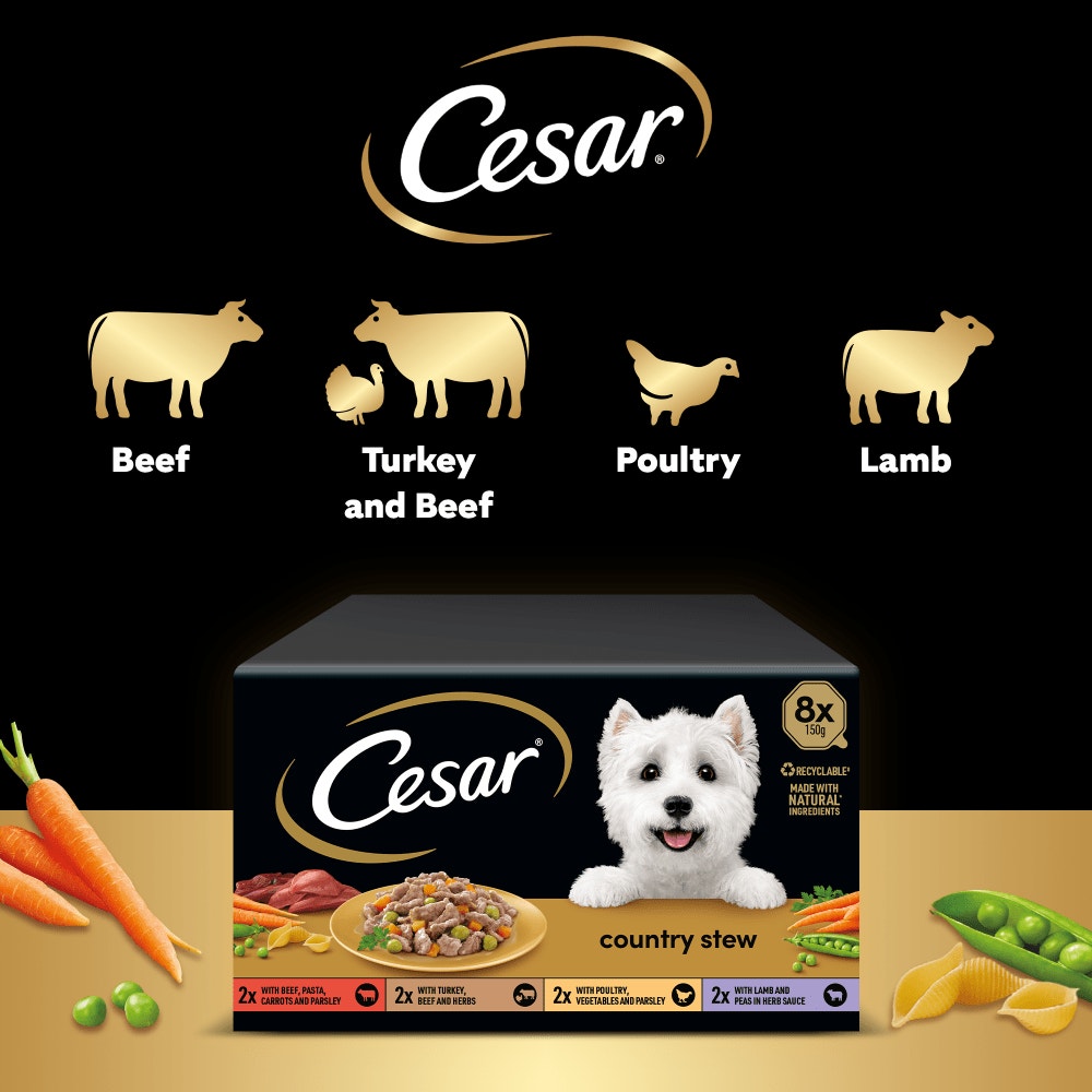 CESAR® Country Stew Variety Pack, Tray - 4