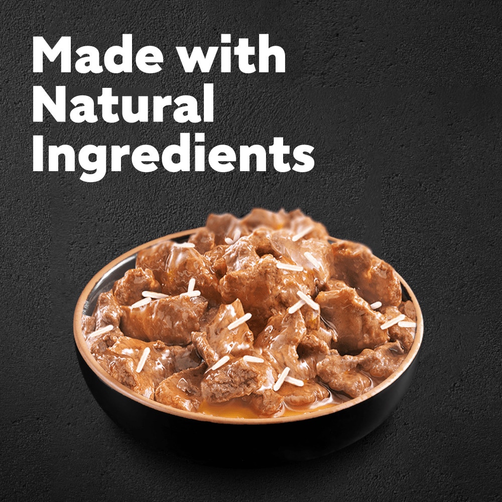 CESAR® Senior Wet Dog Food Pouches Mixed Selection in Sauce 12 x 100g - 2