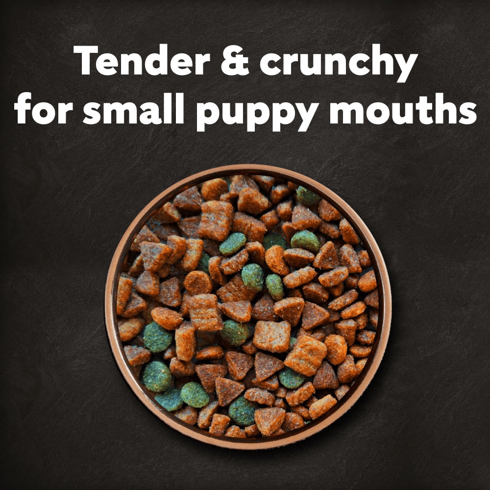 CESAR Junior Puppy Dry Dog Food with Fresh Chicken Rice & Vegetables 1.4Kg - 2