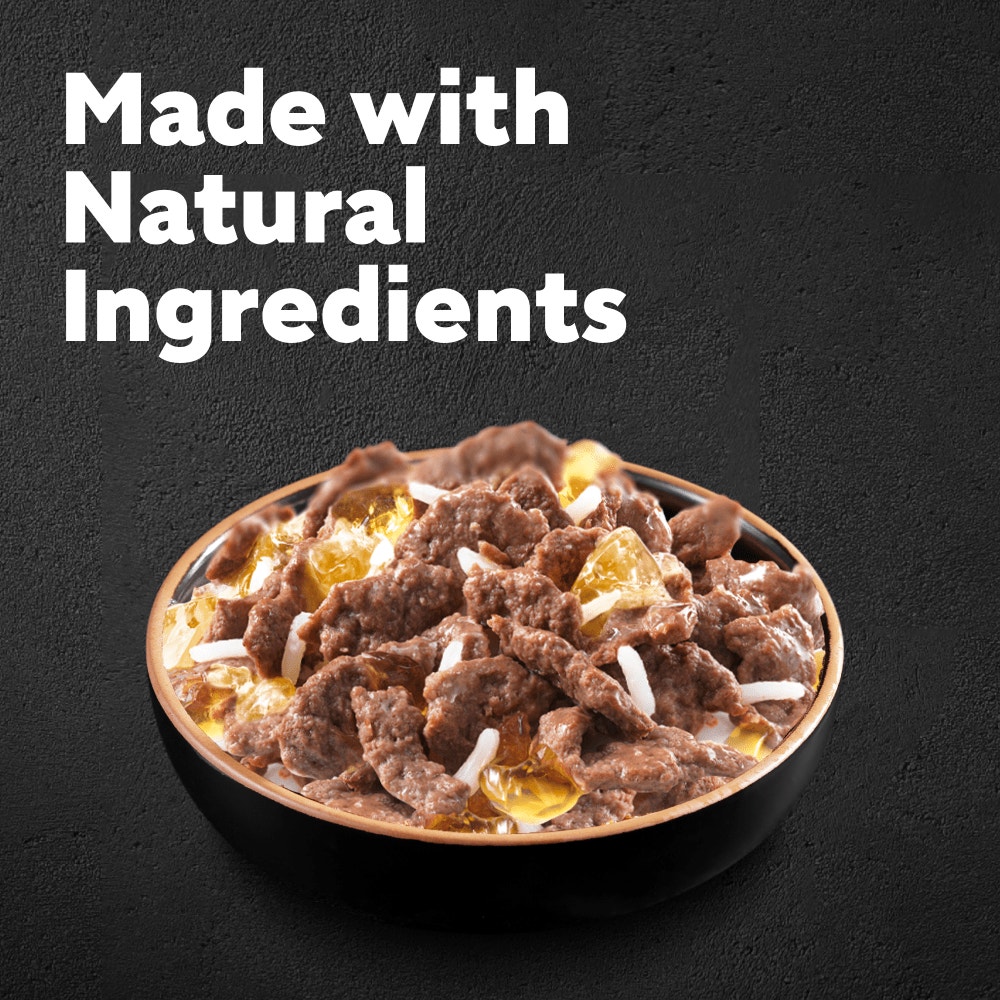 CESAR® Senior Wet Dog Food Pouches Mixed Selection in Jelly - 2