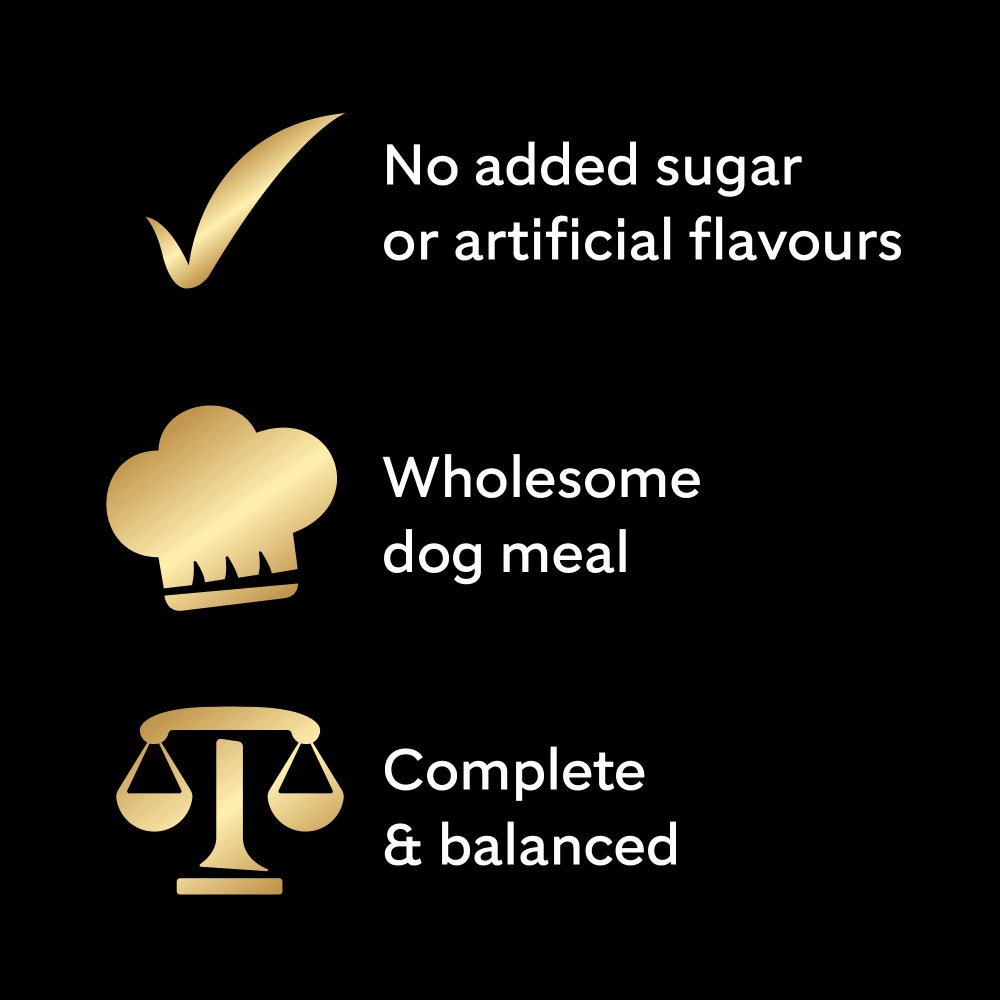 CESAR® NATURAL GOODNESS™ Grain Free Wet Dog Food in Casserole - 3