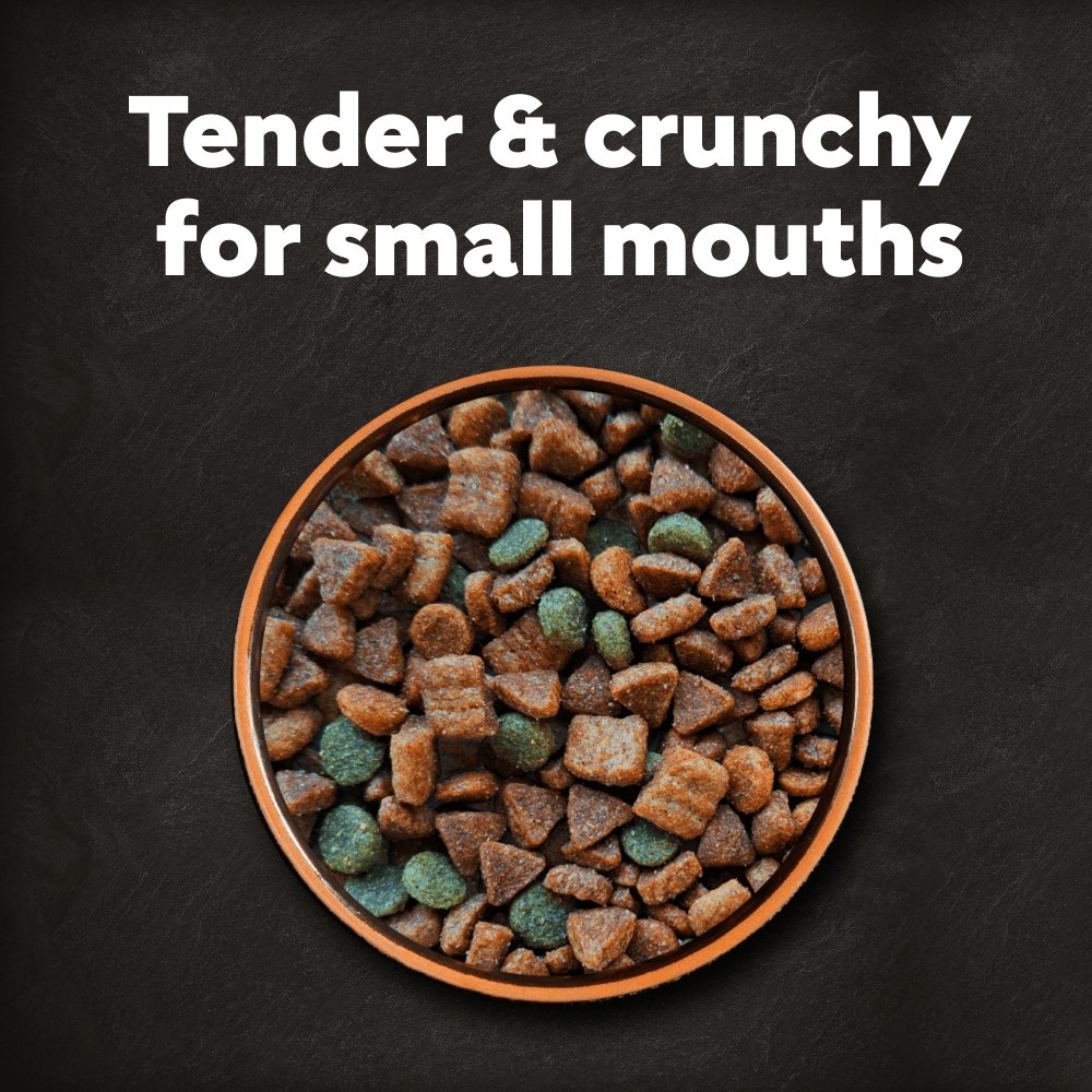 Cesar Adult Dry Dog Food with Fresh Beef, Poultry & Vegetables 1.4kg - 2