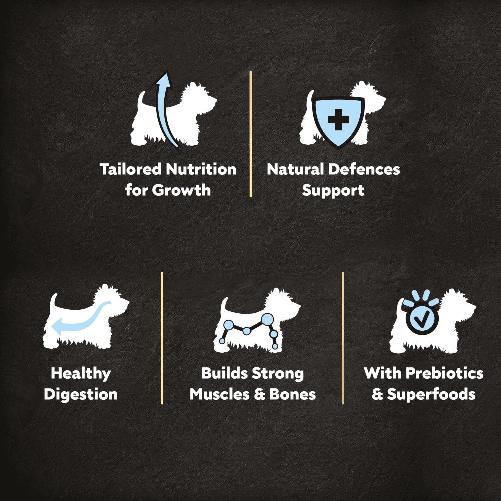 CESAR Junior Puppy Dry Dog Food with Fresh Chicken Rice & Vegetables 1.4Kg - 3