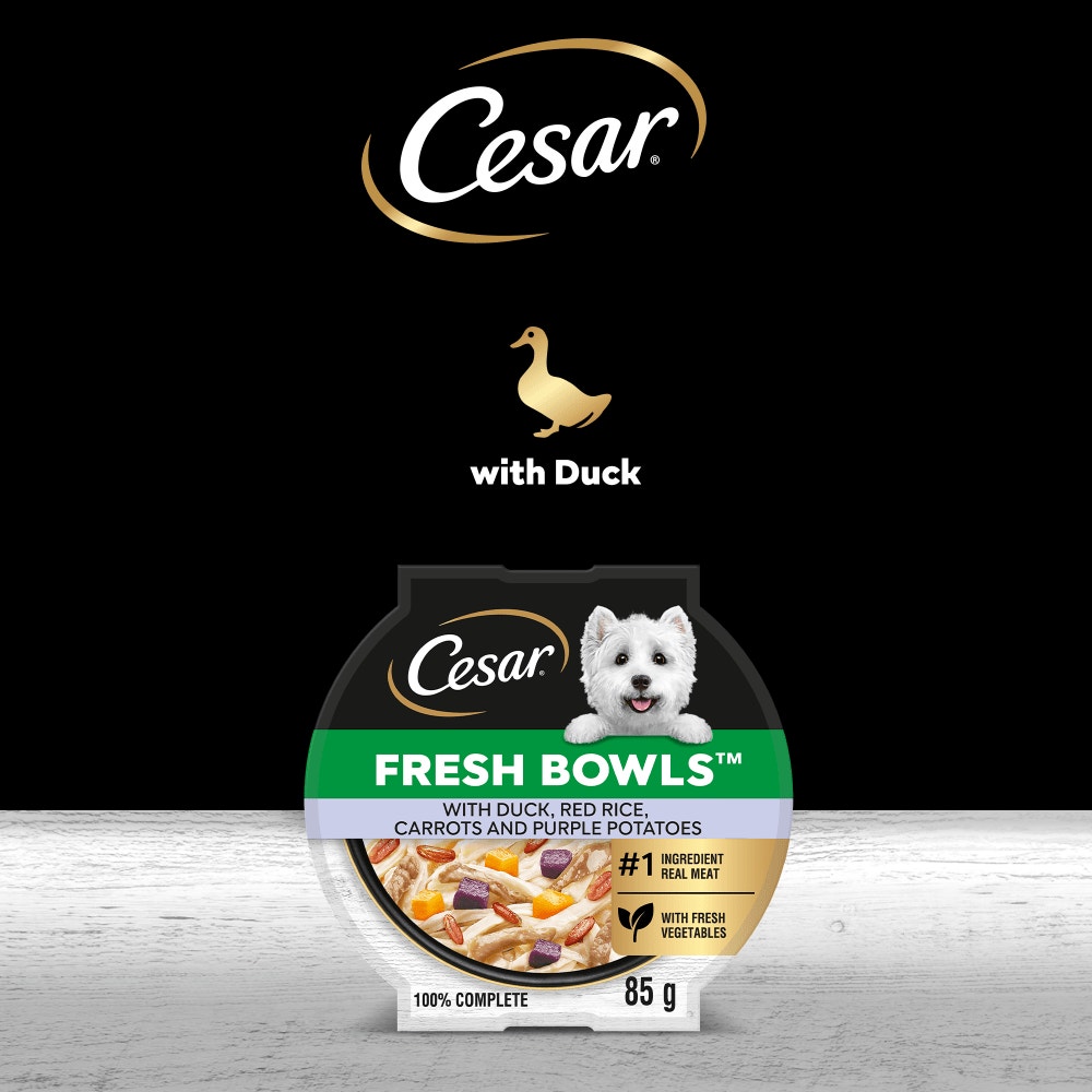 CESAR® Fresh Bowl Adult Dog with Duck,Red Rice,Carrots,Potato in Gravy 85g - 4