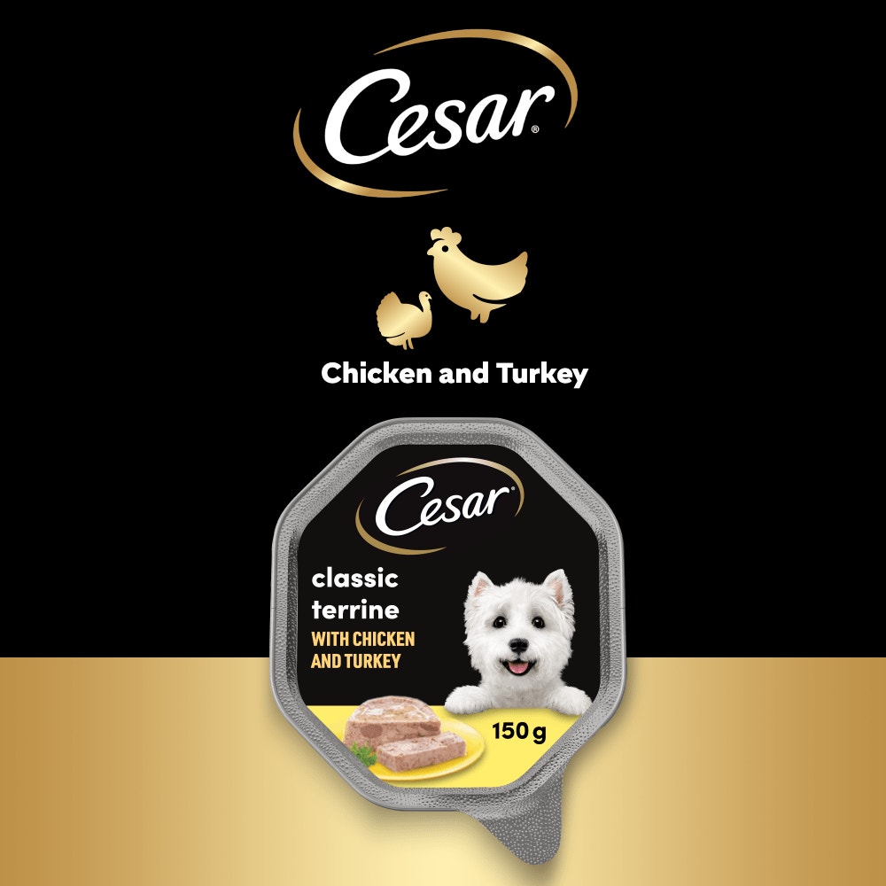 CESAR® Classic Terrine Dog Food Tray Chicken & Turkey in Loaf 150g - 4