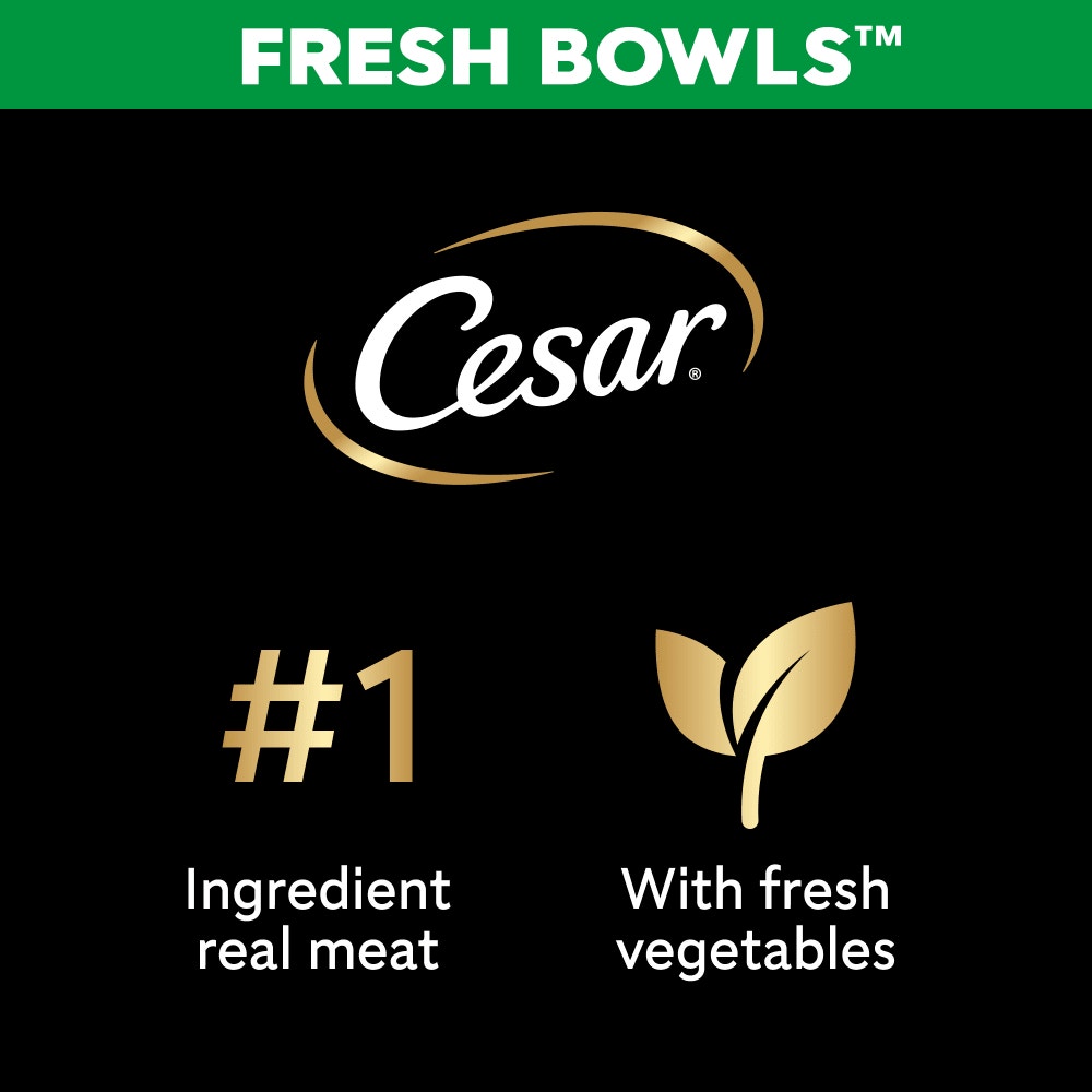 CESAR® Fresh Bowl Adult Dog Chicken & Duck Taster Multipack 6x85g - 3