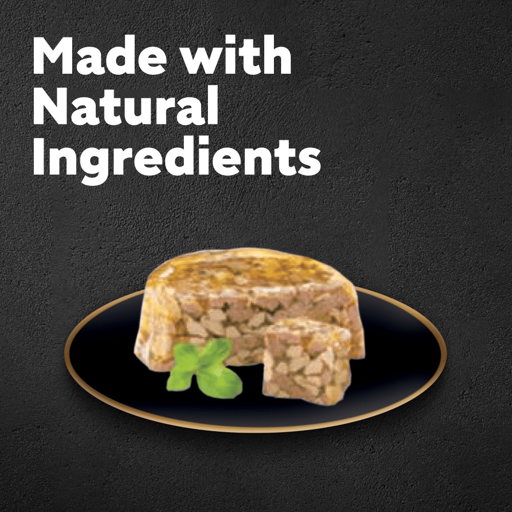 CESAR® Classics Terrine Dog Food Tray Lamb & Chicken in Jelly 150g - 2