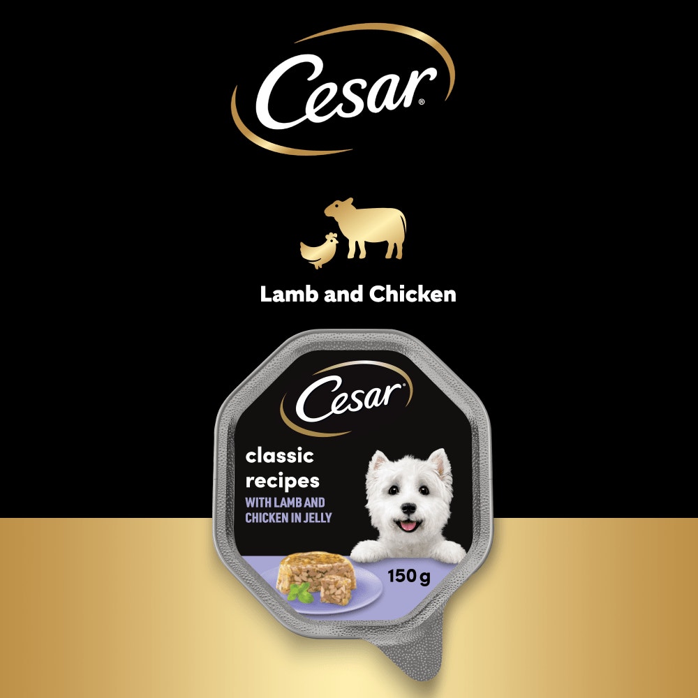 CESAR® Classics Terrine Dog Food Tray Lamb & Chicken in Jelly 150g - 4