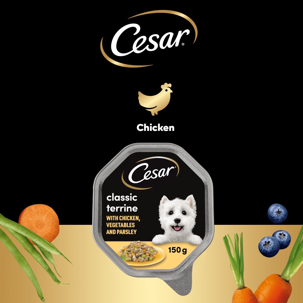 CESAR® Country Stew Adult Wet Dog Food Tray Chicken & Veg in Gravy 150g - 4