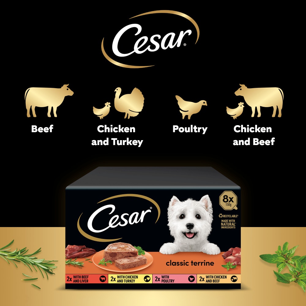 CESAR® Classic Terrine Variety Pack, Tray - 4