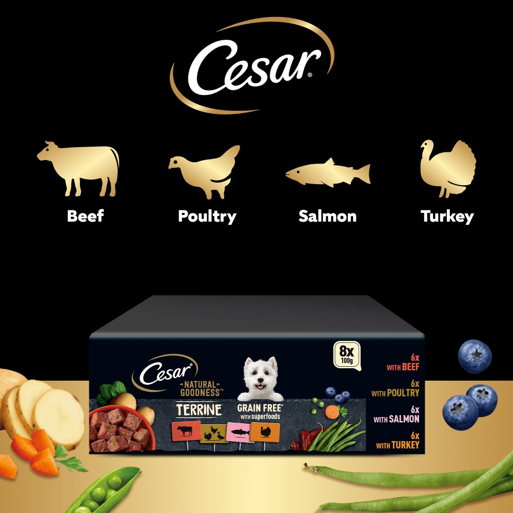 CESAR® NATURAL GOODNESS™ Grain Free Wet Dog Food in Terrine - 4