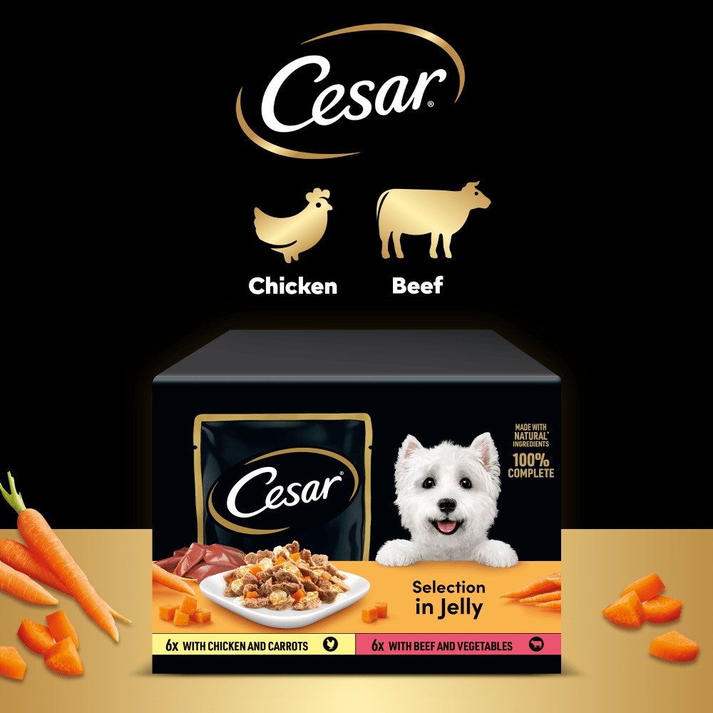 CESAR® Deliciously Fresh Dog Food Pouches Mixed Selection in Jelly 12 x 100g - 4