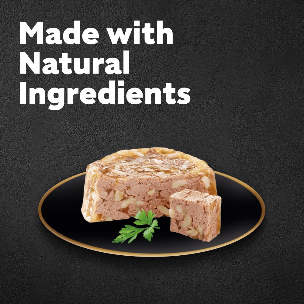 CESAR® Senior Wet Dog Food Trays Meat in Delicate Jelly 8 x 150g - 2