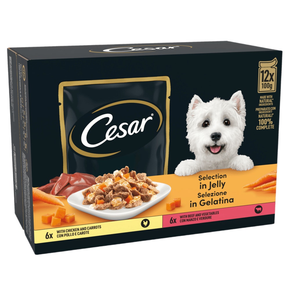CESAR® Deliciously Fresh Dog Food Pouches Mixed Selection in Jelly 12 x 100g - 1