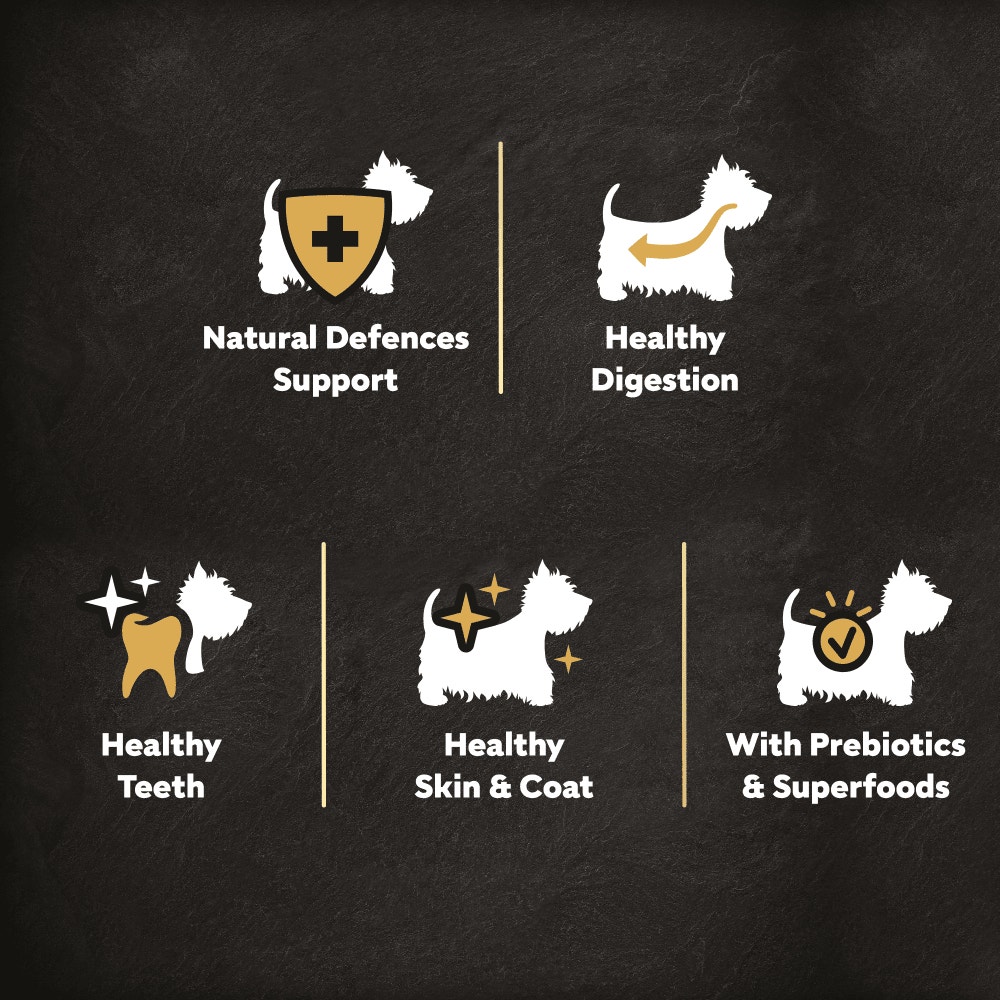 Cesar Dog Complete Dry with Chicken, Salmon and Vegetables 7kg, 1.4kg - 3