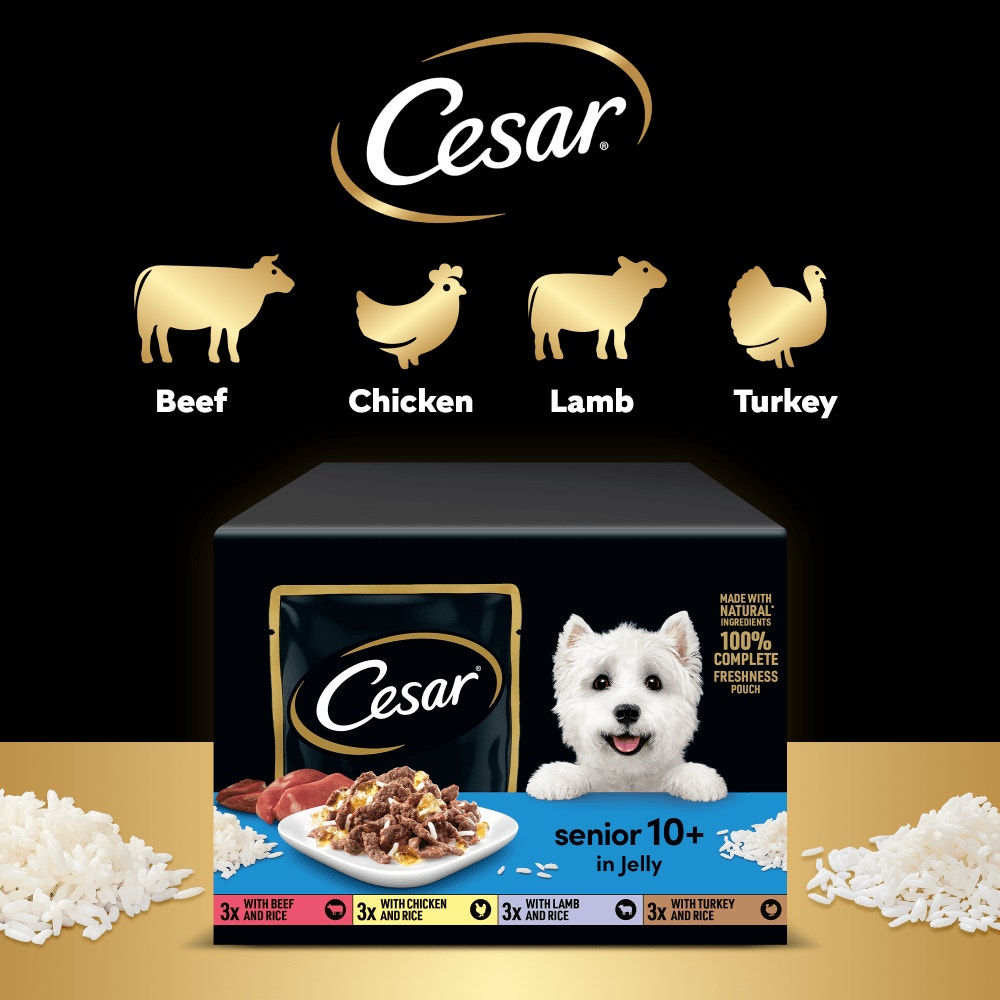 CESAR® Senior Wet Dog Food Pouches Mixed Selection in Jelly - 4