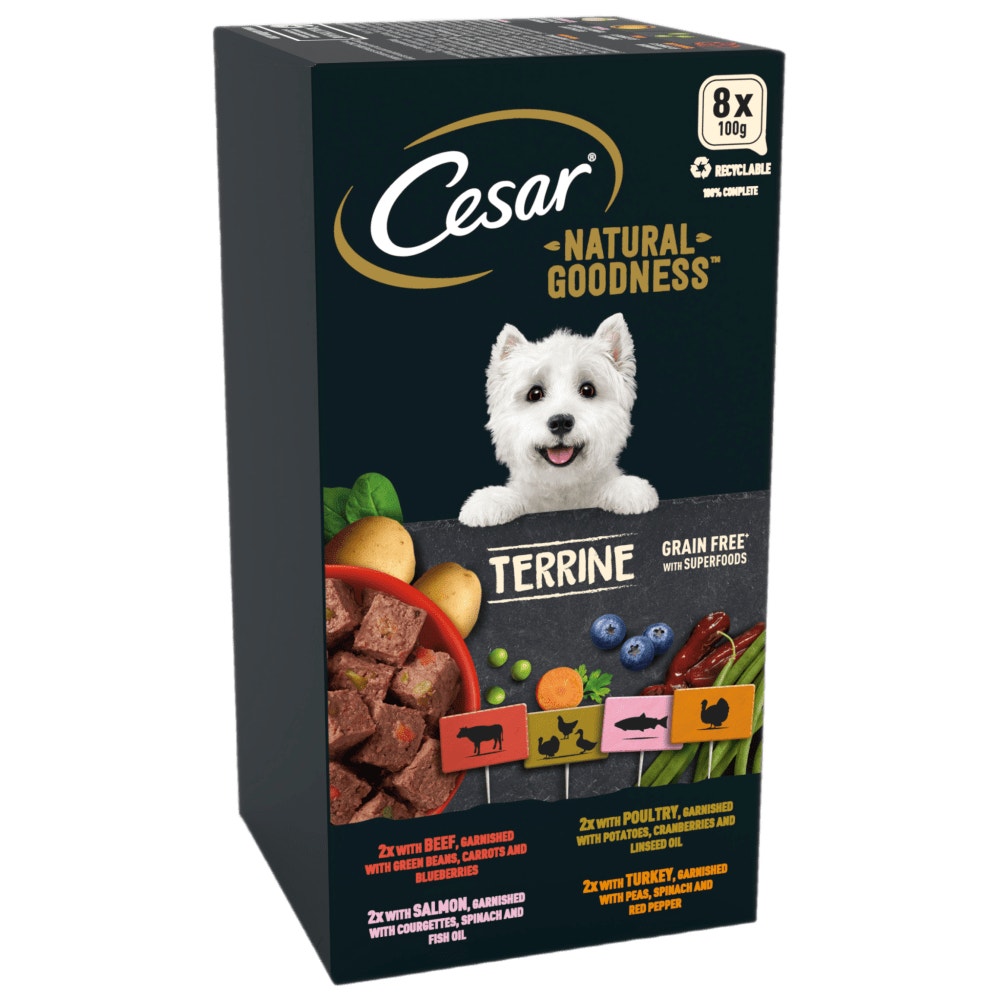 CESAR® NATURAL GOODNESS™ Grain Free Wet Dog Food in Terrine - 1