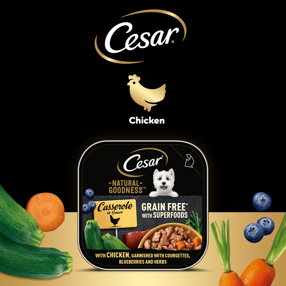CESAR® NATURAL GOODNESS™ Grain Free Dog Food Casserole with Chicken 100g Tray - 4