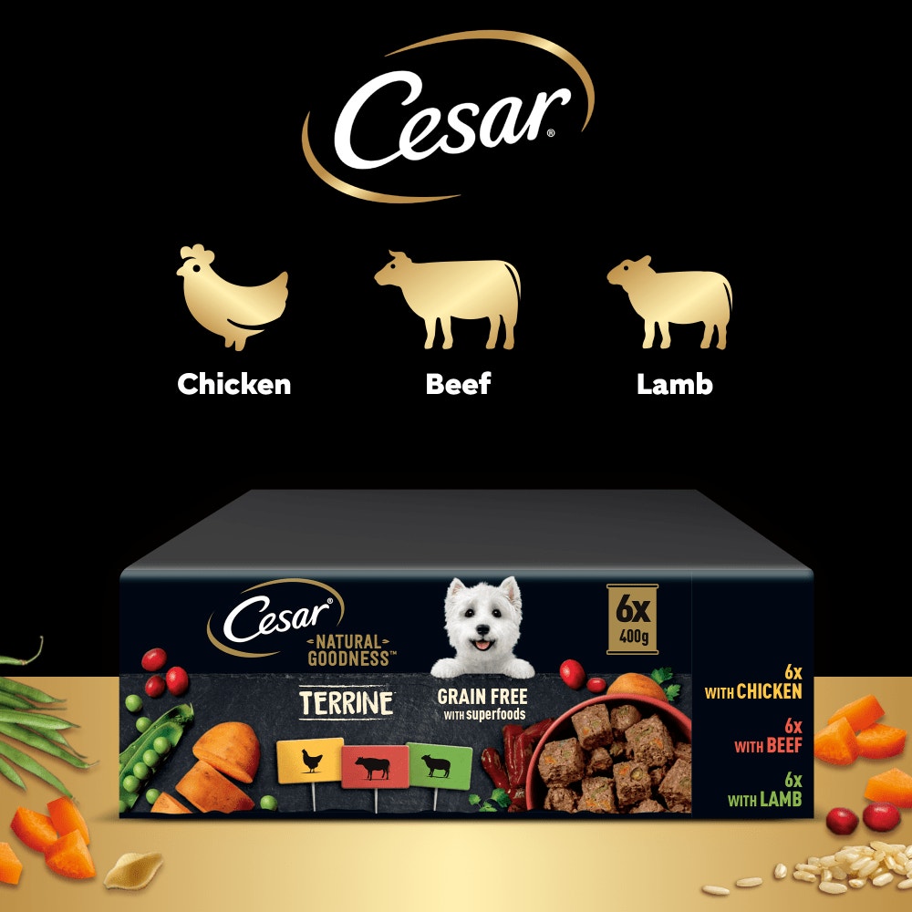 CESAR® NATURAL GOODNESS™ Grain Free Wet Dog Food Tins in Loaf - 4
