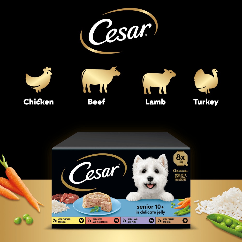 CESAR® Senior Wet Dog Food Trays Meat in Delicate Jelly 8 x 150g - 4