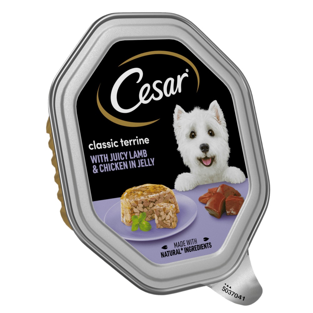 CESAR® Classics Terrine Dog Food Tray Lamb & Chicken in Jelly 150g - 1